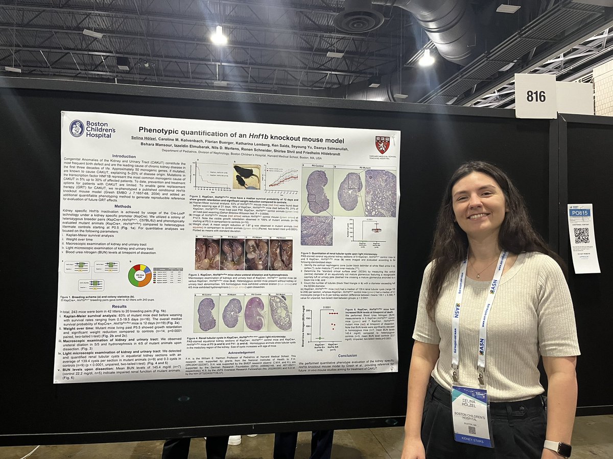 nefron1310's tweet photo. Our full KidneyStars group, great poster session @ASNKidney #KidneyWk
 @ameliamercado00 @SelinaHoelzel @CarlR_BME Jason and Anisha https://t.co/LXxuWhSmRd