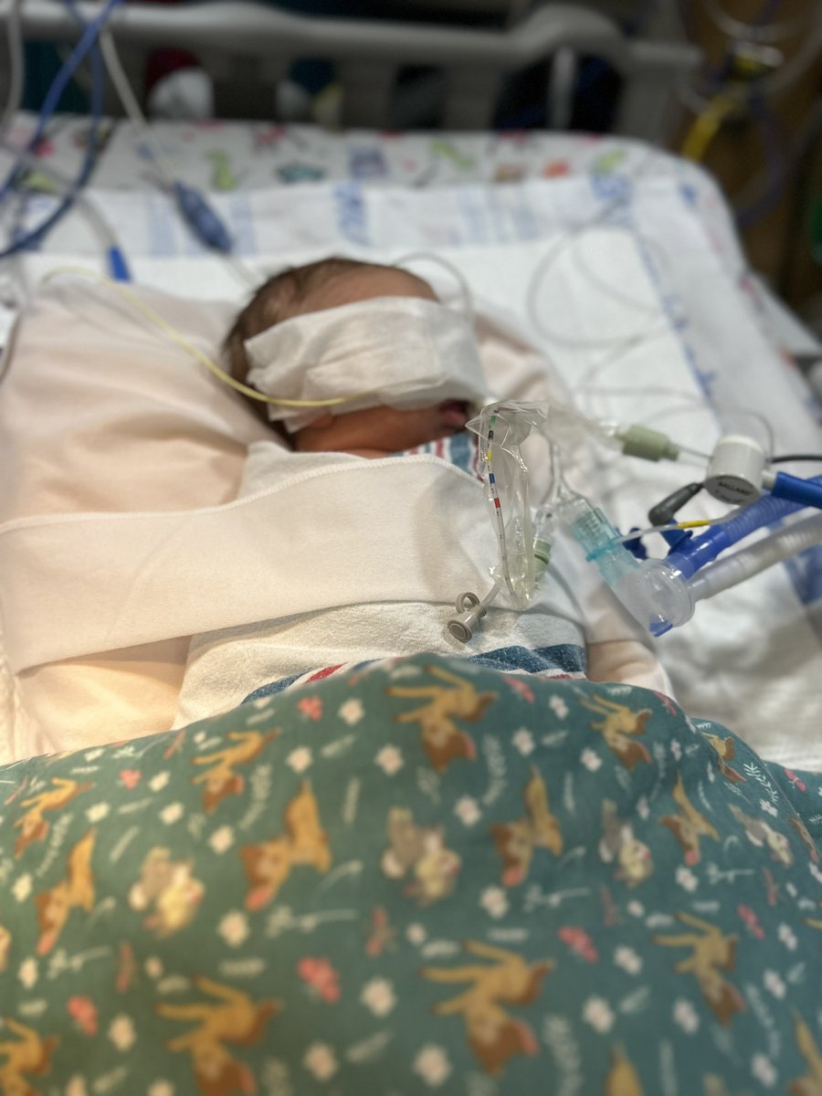 BUFFNAVY90's tweet photo. Hey #BillsMafia really could use some prayers for my son Paul. He’s in picu right now because he’s only 3 weeks old and came down with rsv bad. Barely was breathing and got him to hospital now he’s on ventilator and got iv going to an artery. Would appreciate any love right now. https://t.co/8XHRlqiTux