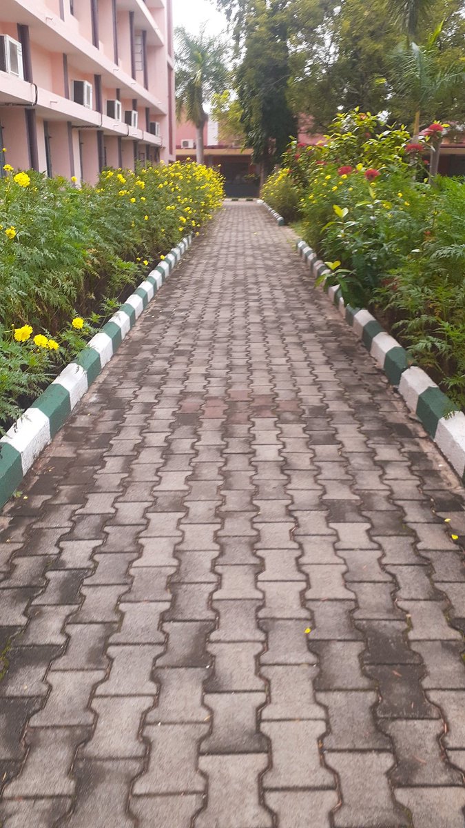she00574's tweet photo. Had been to my engineering college today🥺

Captured some of the best memories❤️🥺

#WantToGoBack https://t.co/esGnaNWGNm