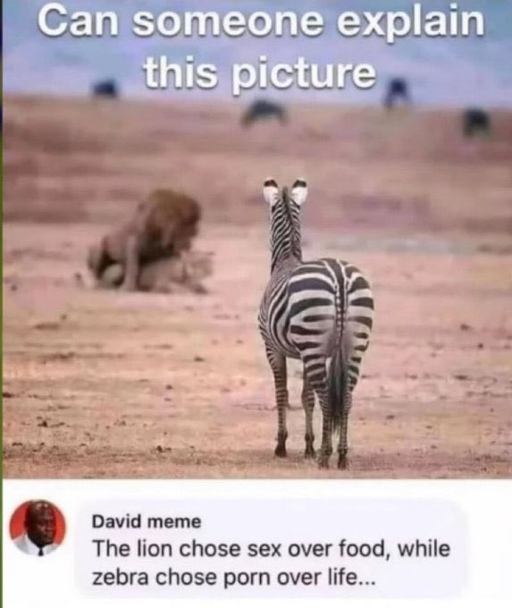 <a href="/NoContextHumans/">Out of Context Human Race</a>