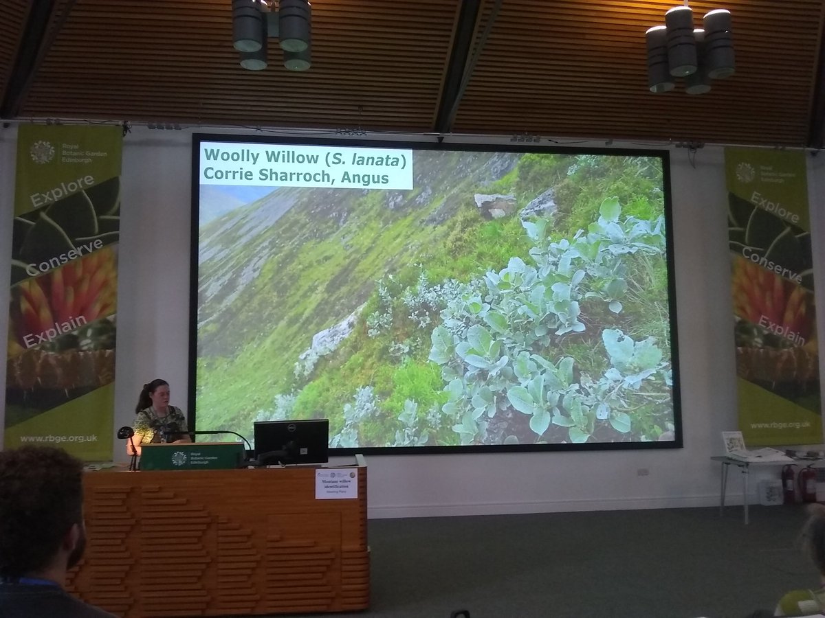 Jeanette Hall - ask me about woods 🌳 and newts 🦎 tweet media