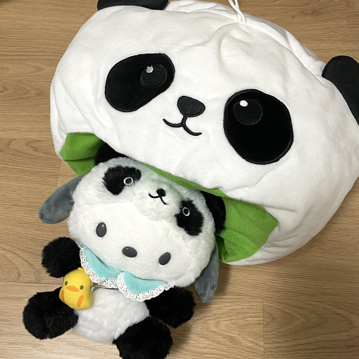 Godk_218's tweet photo. 에버랜드에서 찍은 사진에용🥺내 최애들 https://t.co/RdpkLjyRjF