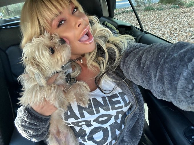 I spy a puppy trying to kiss his way out of going to the groomers 😂 https://t.co/HW45za6w0j<a href="/tag/gratitude"class="tags"><span>#gratitude</span></a>