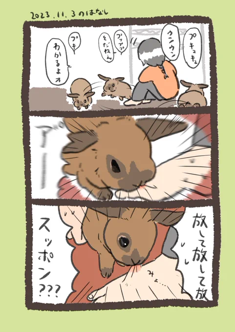 無事出血  #うさぎのいる生活