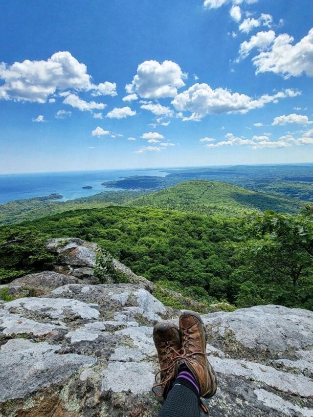 VisitMaine.net tweet media