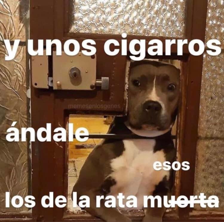 JAJJAJAJA