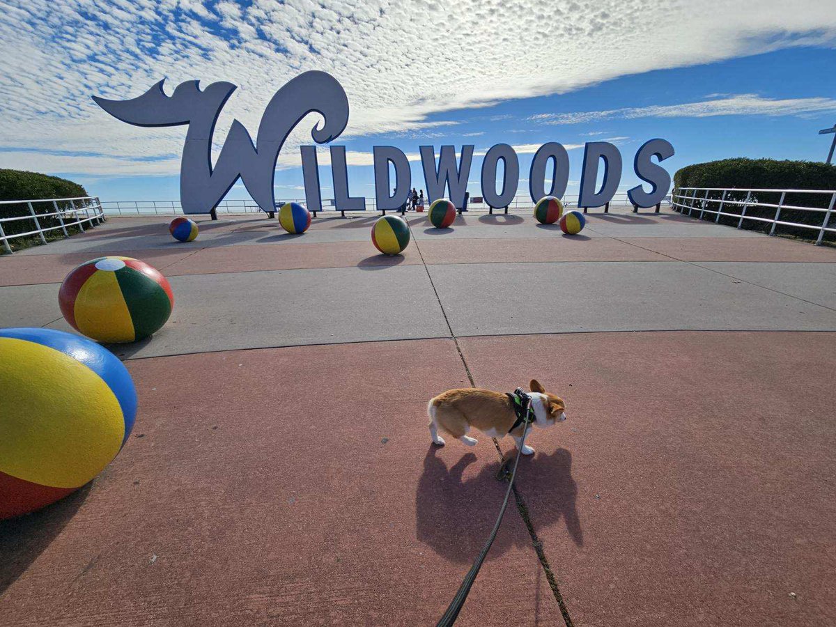 brezcorgi's tweet photo. Perfect day for a walk on the boardwalk https://t.co/IfoNNEJSZW