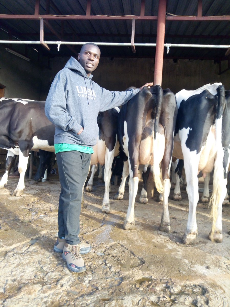 Together with my colleagues @GiseleIRAD55023 & @Dusabim88139291 Out here at Mugisha's Farm. We explored milking technology by using an automatic milking machine. #FarmingTechnology 
@Ngabo_Karegeya