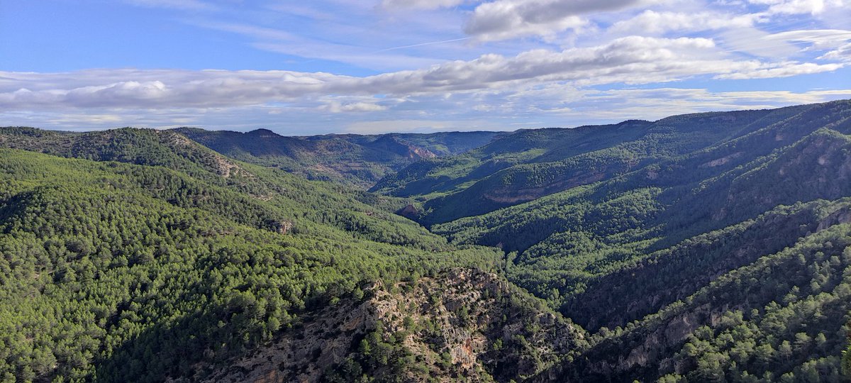 C_sempervirens's tweet photo. Circular a la Muela de Cirat, hem eixit de l'Aldea del #Tormo i hem pujat per la vesant nord de la Muela, dalt tenim vistes impressionants de la Vall de la Rambla de Santa Ana cap al NE i de la Vall del Riu Millars cap al Sud. Una ruta amb un paisatge encisador! @espadaniques https://t.co/wUSCG5YQVG