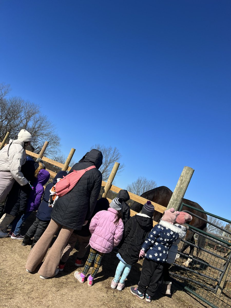 Meagan Gamby tweet media