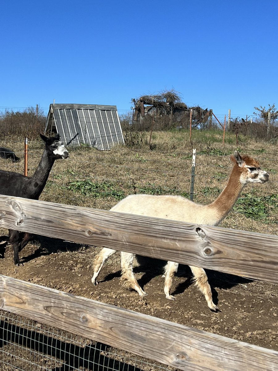 Meagan Gamby tweet media