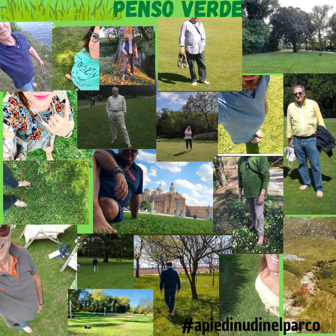 lore_apiedinudi's tweet photo. E' bellissimo vedere i vostri scatti per #PensoVerde tutti assieme. Davvero grazie per i vostri preziosi contributi fotografici in cerca di parchi ben curati che possano dare il buon esempio per un maggiori rispetto del nostro amato verde. #apiedinudinelparco https://t.co/JUoL0DwRBN