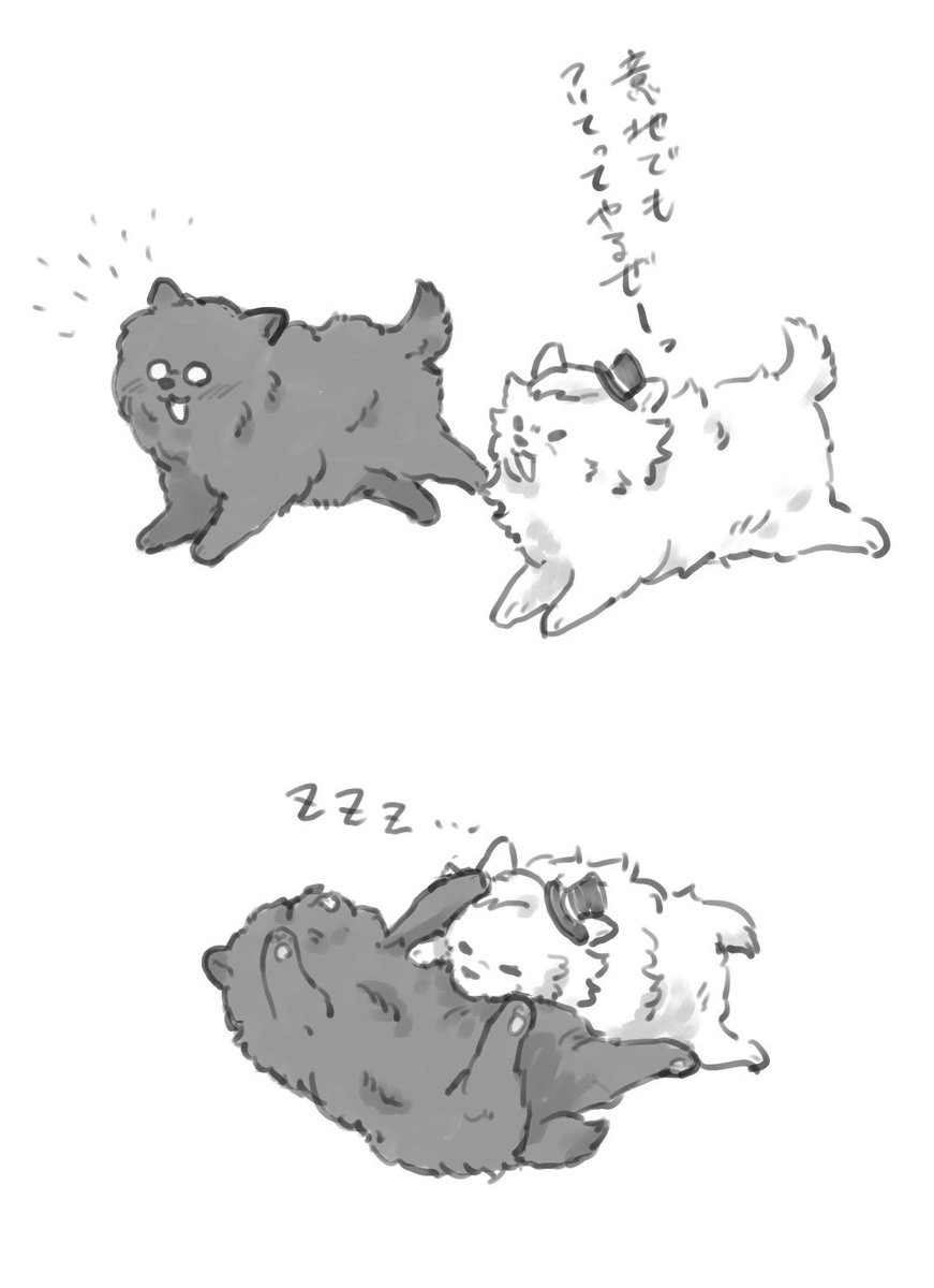 再掲できる絵あんまりなかったんだけどポメガーとポメントとポメロイド発掘した 