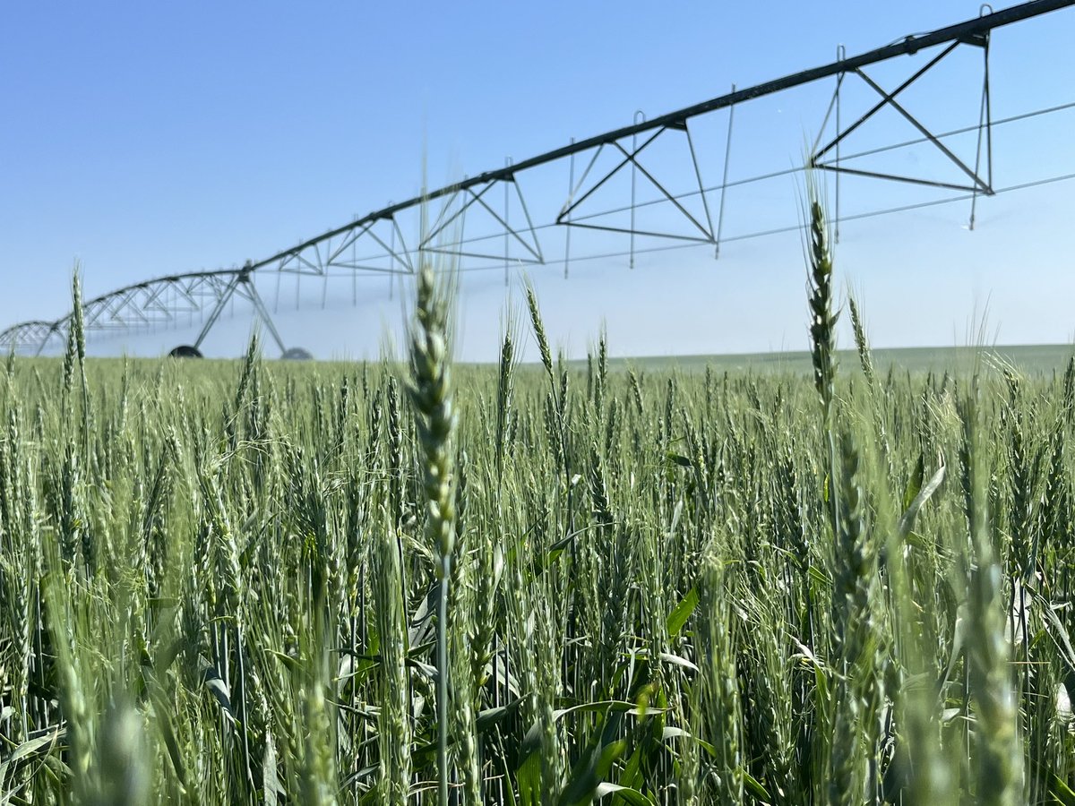 Amy Heather tweet media