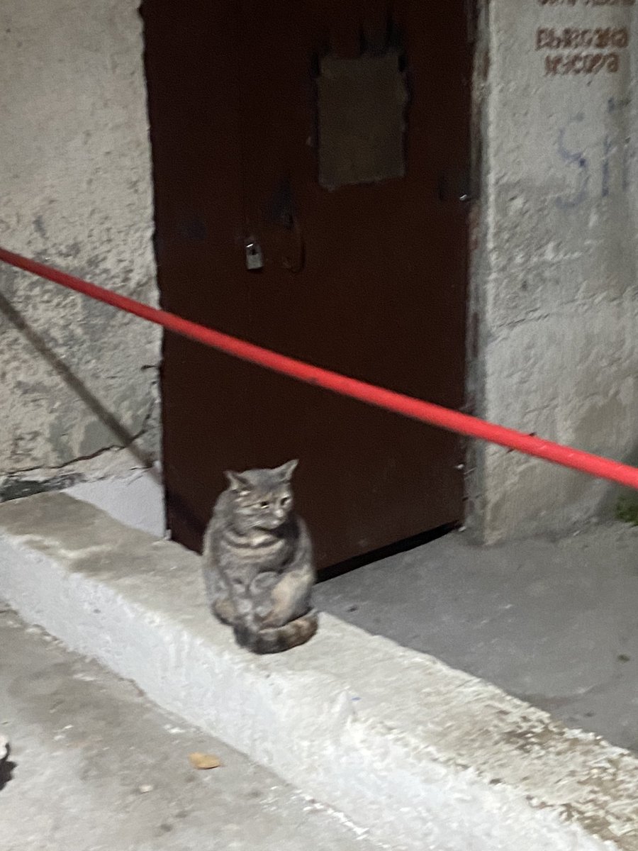 eva_nothing's tweet image. Random ✨