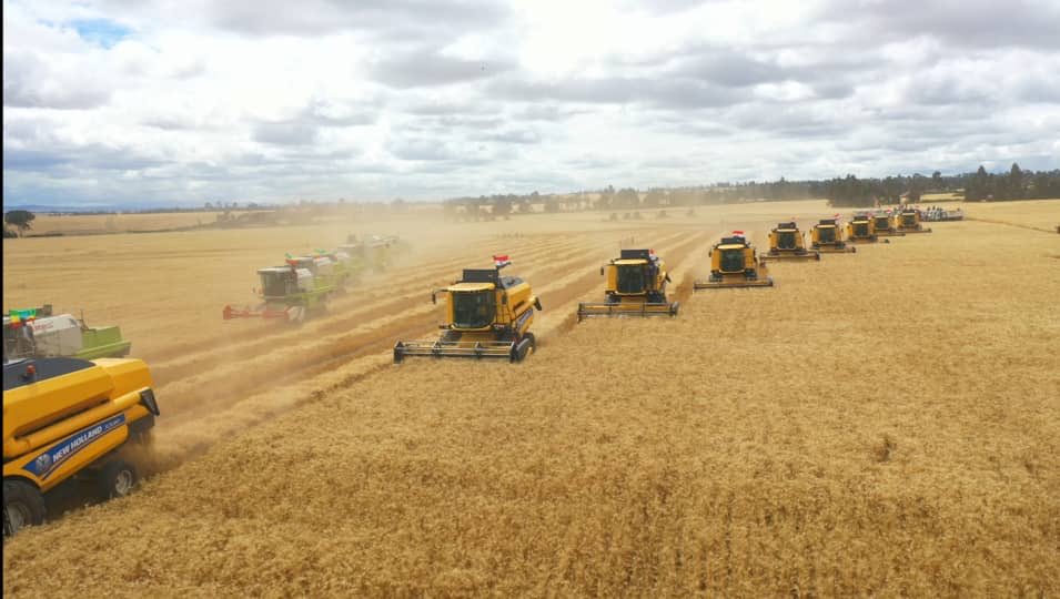 Shimelis Abdisa tweet media