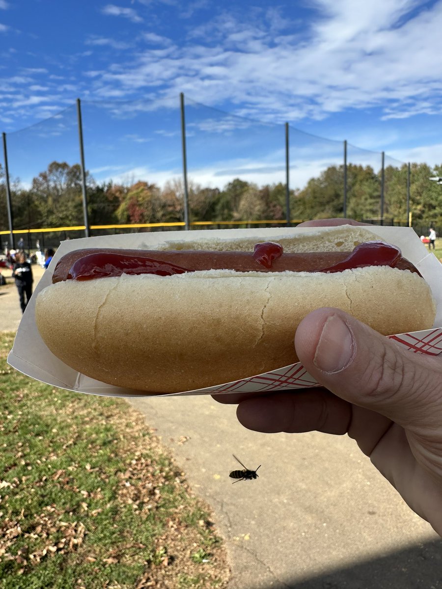 Softball, Fall, and Hotdogs!!! Not a bad way to spend my weekend in Sterling VA!