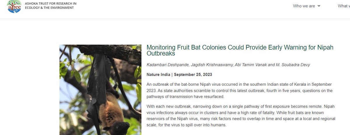 DeeEternalOpt's tweet image. Such ground breaking research by bat ecologist in preparation of #nipah lies and nonsensical outbreaks
๐๐
Hats off to @atree_org