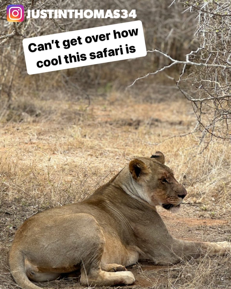 An update from <a href="/JustinThomas34/">Justin Thomas</a> and @MaxHoma on their safari 🐘