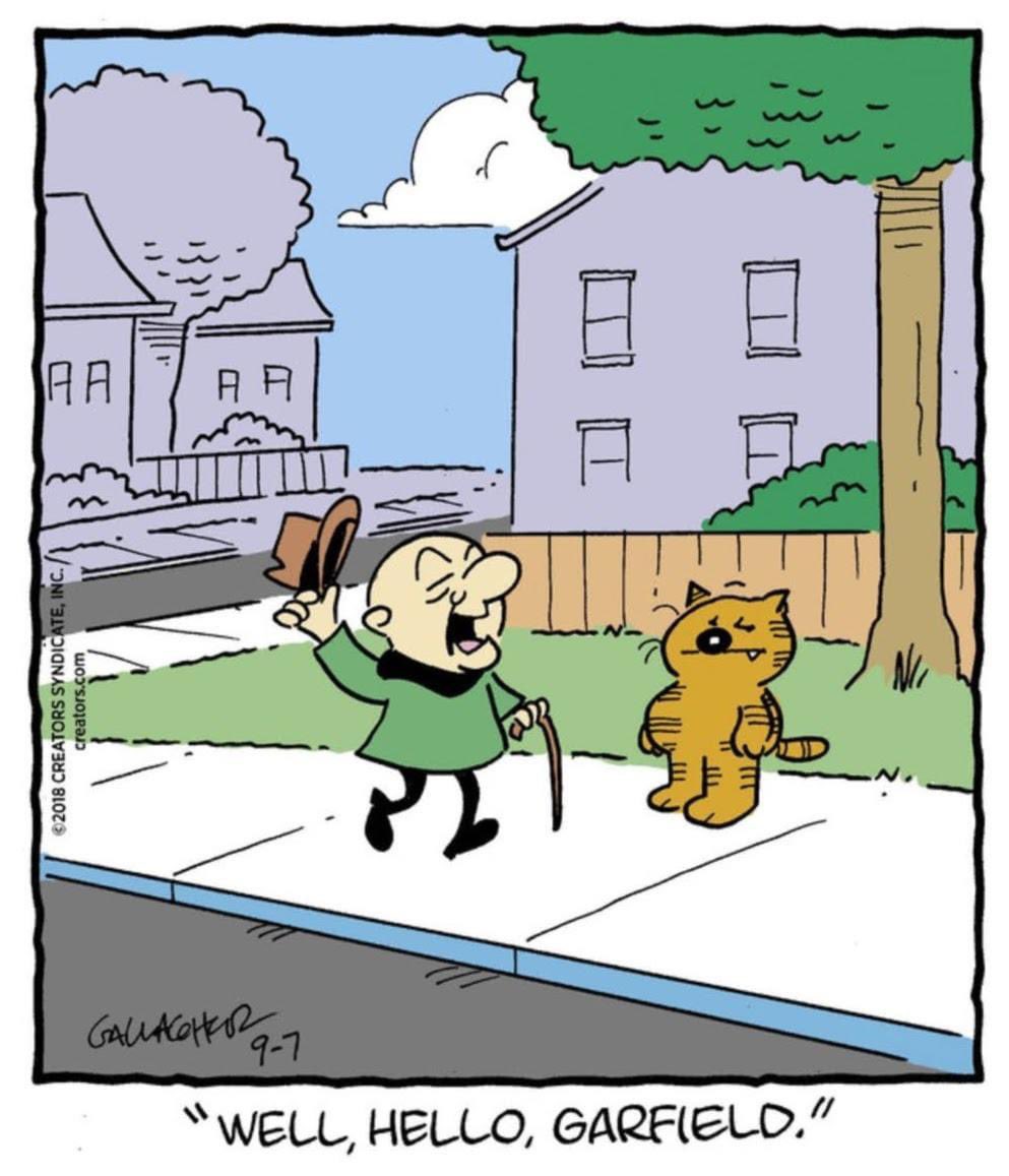 Heathcliff the Cat (@peterga69144063) on Twitter photo 