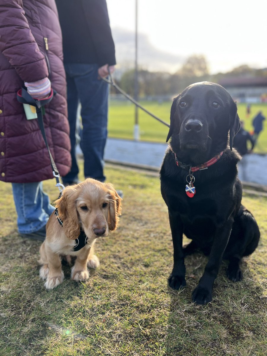 andrewjenkin's tweet photo. We plumped for @ValeofLeven vs Montrose Roselea in the 3rd round of the Scottish Junior Cup and were not disappointed. Toby and Ludo welcomed, a six goal thriller and excellent pies โ
#dogsatfootball https://t.co/r1G8mHLMyT