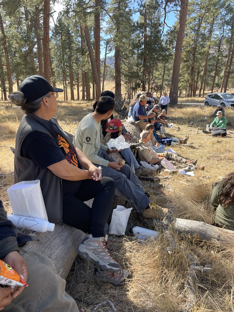 Amy Christianson tweet media