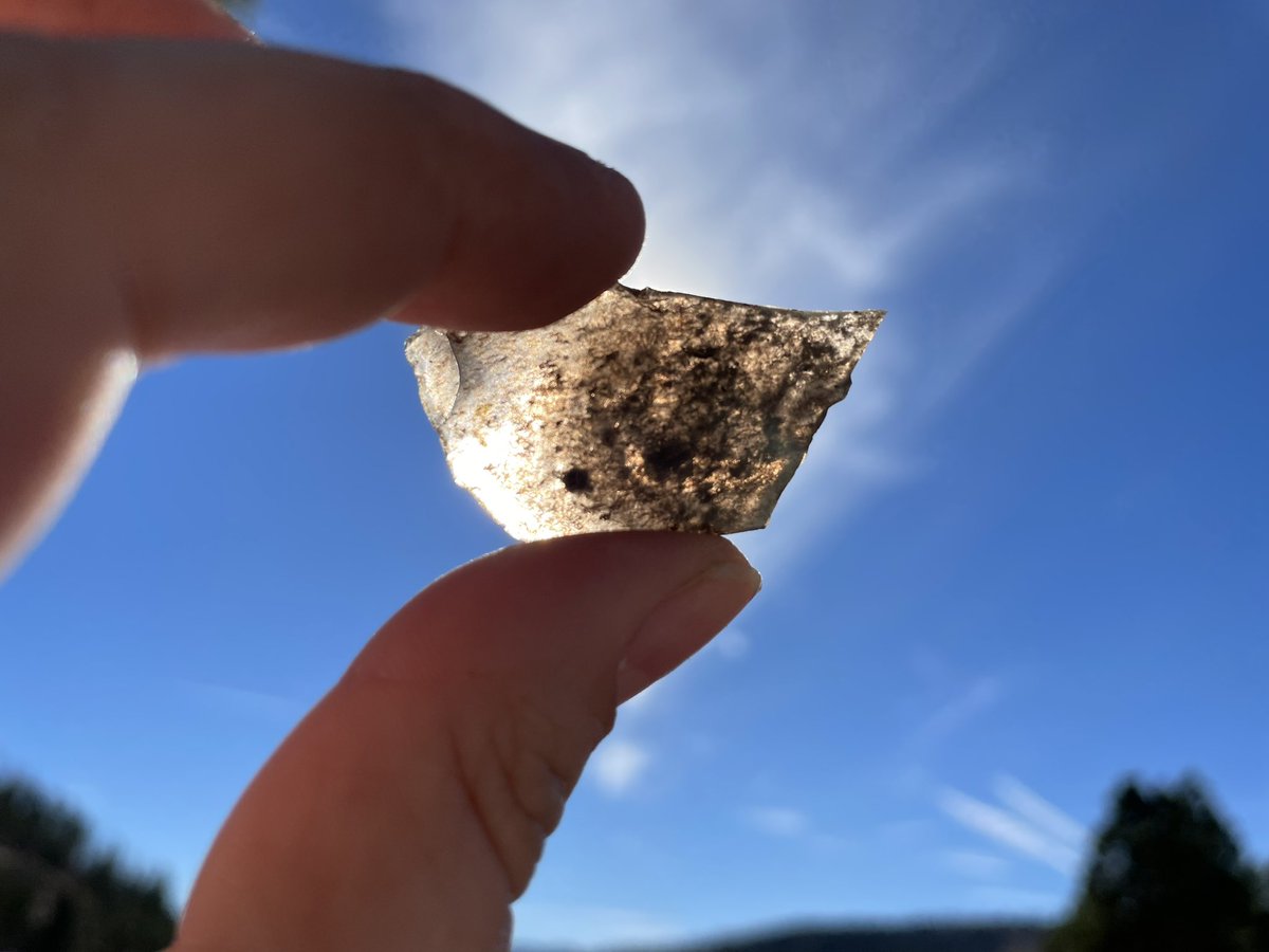 Amy Christianson tweet media