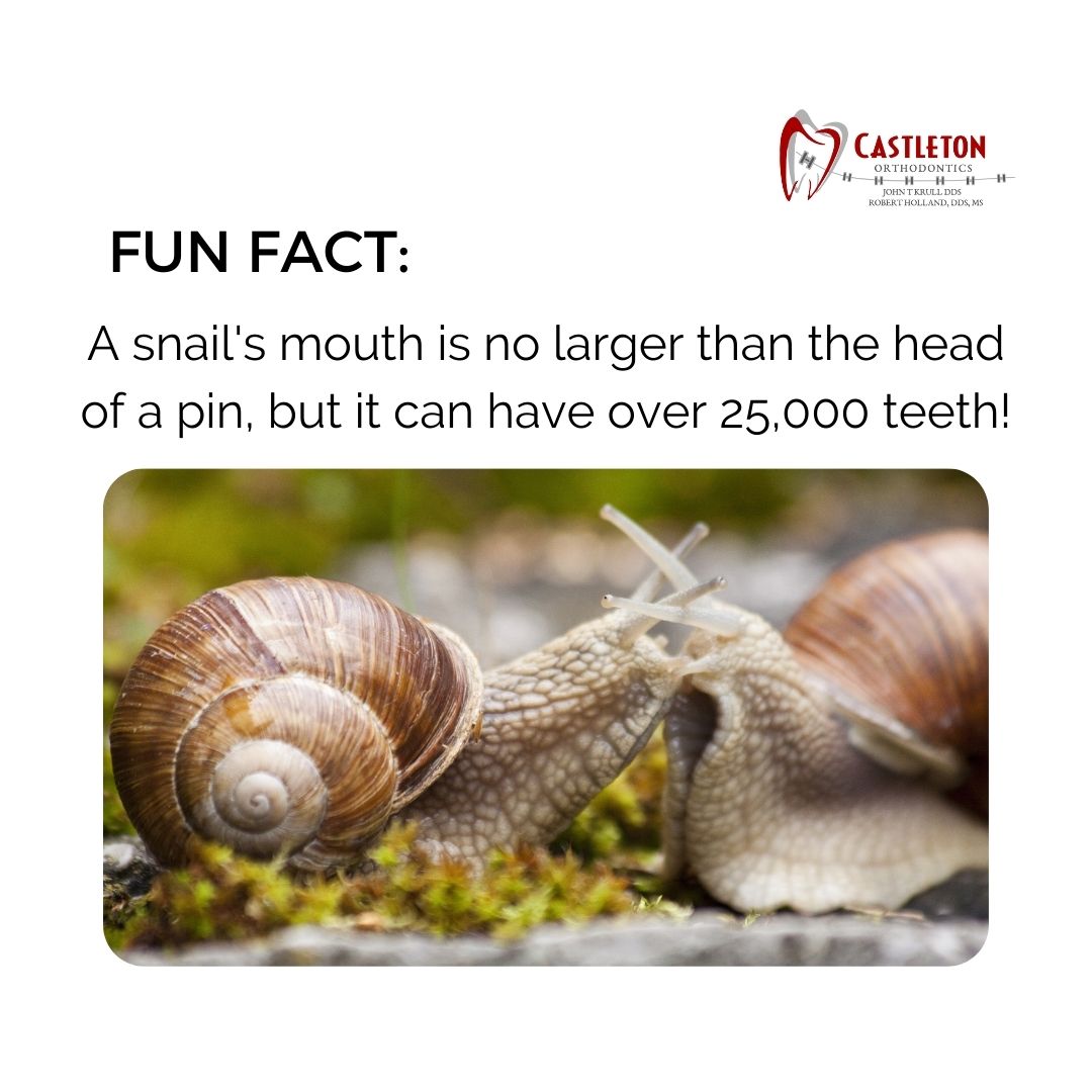 Wow! #funfacts