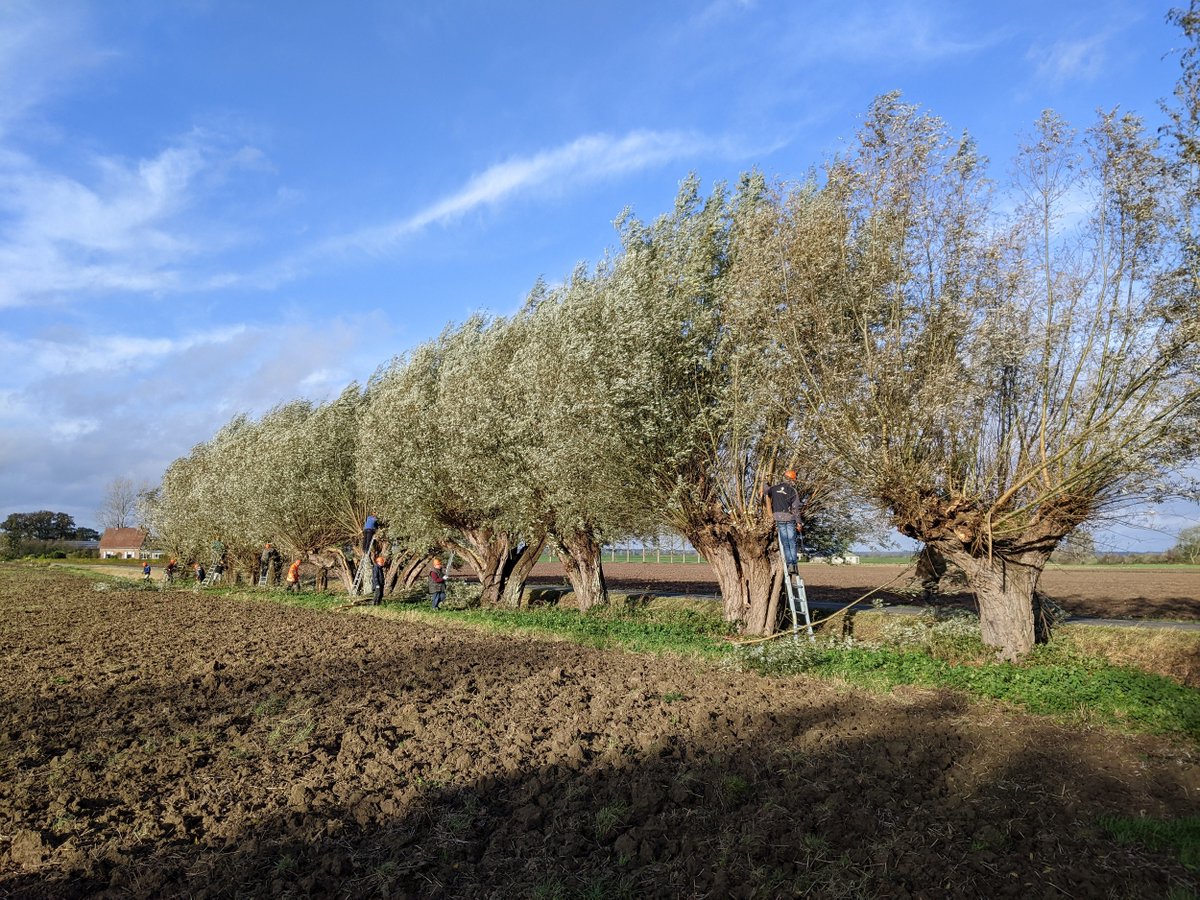 'Samen kun je veel doen voor de #natuur en dat is fijn om te zien!' Zo blikte een van de ruim 1600 deelnemers in Gelderland vanmiddag terug op de #Natuurwerkdag, het grootste vrijwilligersevenement in het groen. Applaus voor deze toppers! #landschap #vrijwilligerswerk #samen