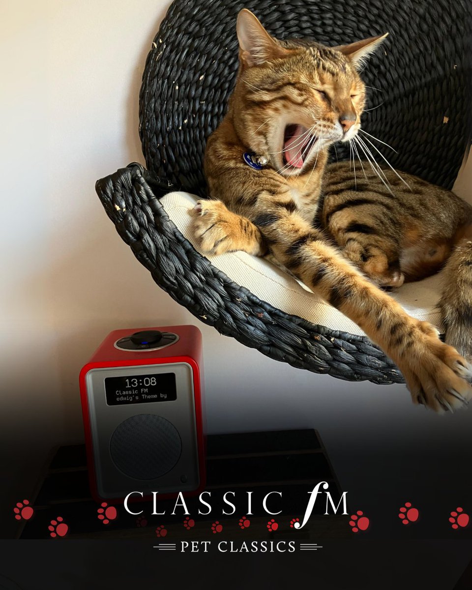 Welcome to pets around the nation who are joining us for #PetClassics, our soothing sanctuary of music with @CharlotteHawkns. 🐾🎶 If your pets are enjoying the music – please share a photo with us @ClassicFM!