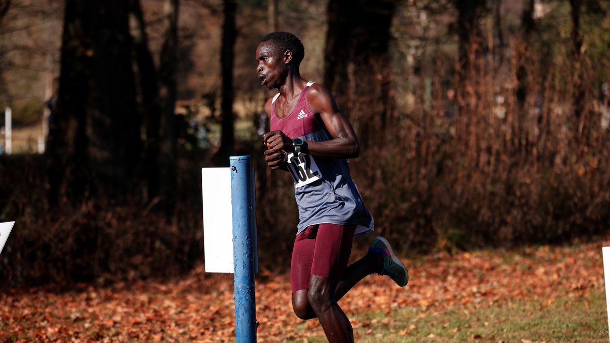 CU Tigers XC & Track tweet media