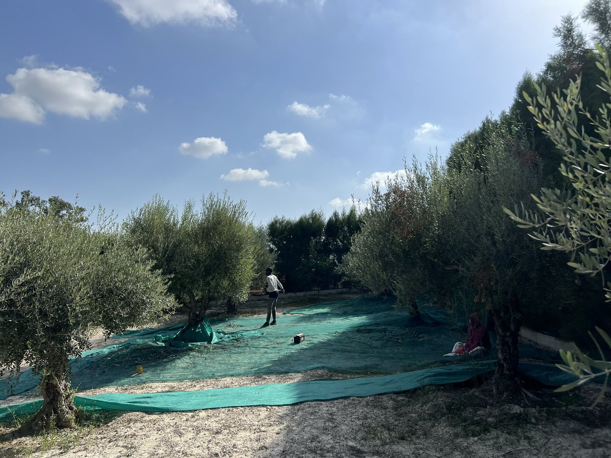 Marios Kalochoritis tweet media