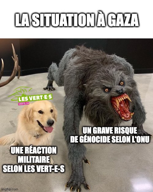 memolution_perm's tweet image. Les @lesvertssuisses ont répondu à mon dernier meme et leur réponse est claqué au sol. Je vous invites toutes et tous à lire leur communiqué verts.ch/nouvelles/situ… @raphaelmahaim