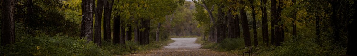 MDRecovery's tweet image. Struggling with both trauma &amp;amp; addiction? Maryland Recovery can help - we offer long-term programs to heal &amp;amp; restore your life #LongTermRecovery

bit.ly/34VJUmp