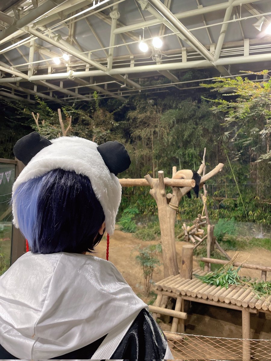 에코 후기