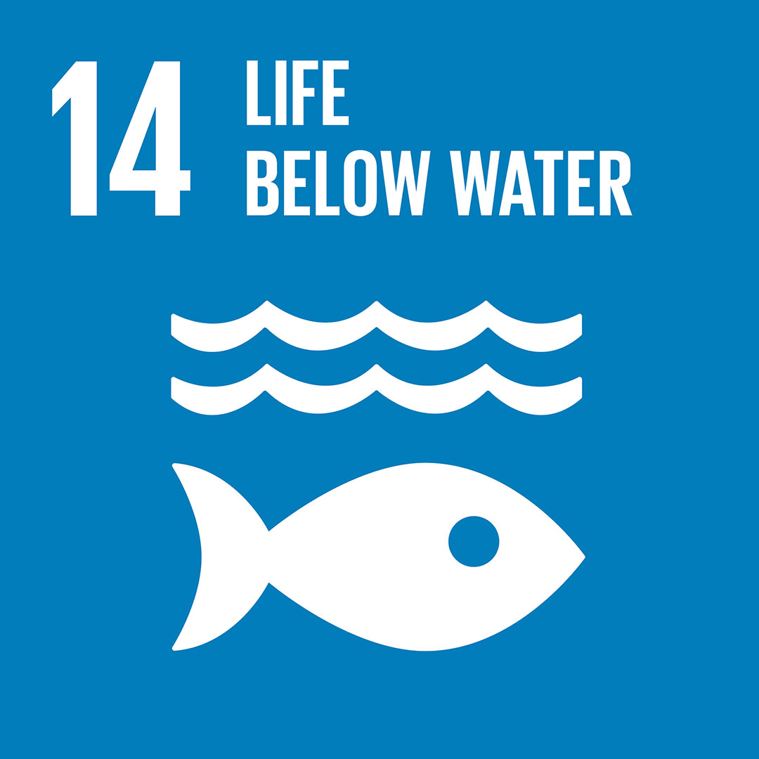 Sustainable Development Goal #14: Life Below Water. Let's protect our oceans, combat pollution, and preserve marine life for a healthier planet. 🌊🐋💙 #SDG14 #LifeBelowWater #Plasticene