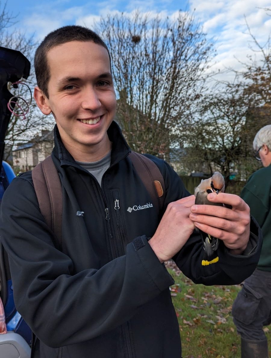 Dannythomas_216's tweet photo. More Waxwing ringing! This one seemed determined to munch my finger off, obviously hadn't quite had his fill of Rowan berries.

#birdringing #waxwings https://t.co/Yi3D3jyuBI
