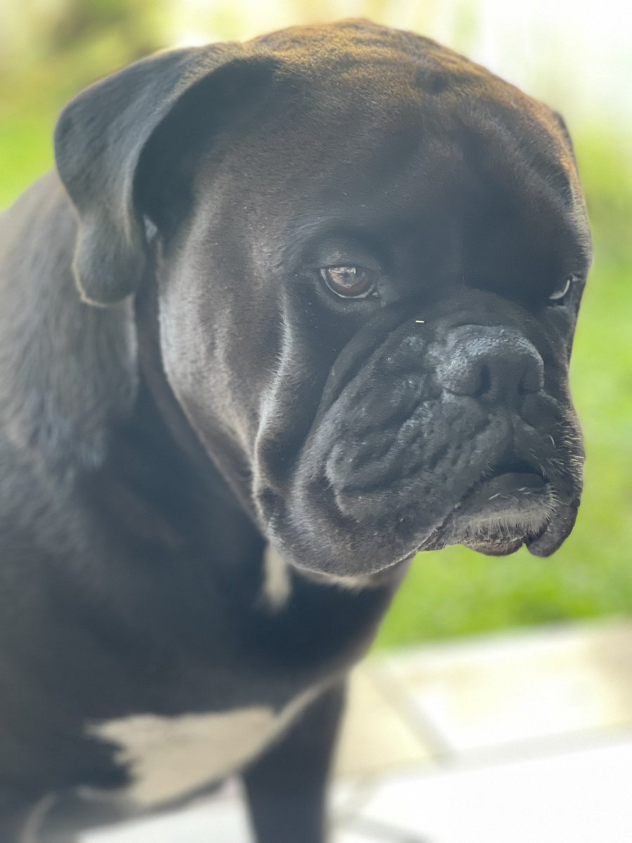 Lorena Robles tweet media