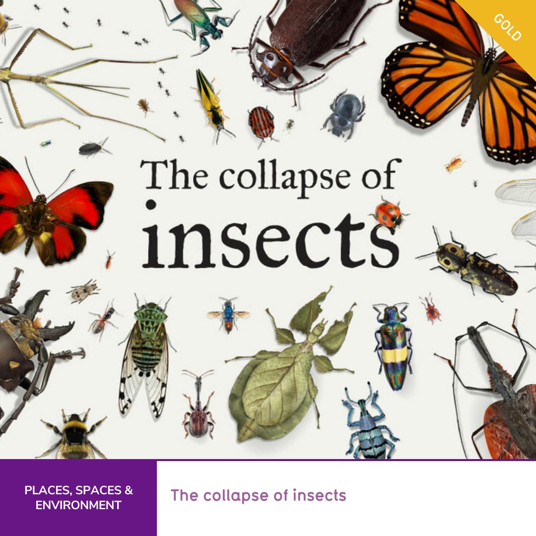 'The collapse of insects' by <a href="/Reuters/">Reuters</a> wins Gold. See the project: informationisbeautifulawards.com/showcase/6476-…