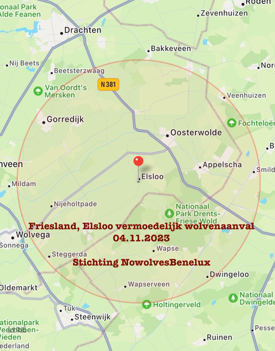 PlatformWeN's tweet image. #Friesland, #Elsloo schapen gedood en zwaar verminkt 04.11.2023 - als je verbaasd bent over de soms hoog oplopende emotionele discussie, dan kijk goed naar de foto… #wolf #wolven