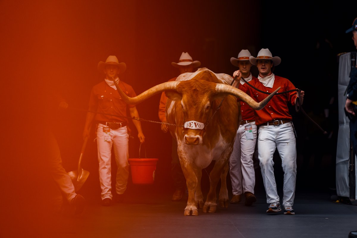 TexasLonghorns's tweet photo. 🤘🤘🤘

#HookEm https://t.co/IvSfQyABU5