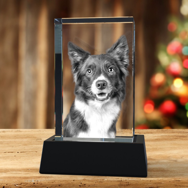 Masterpics_FR's tweet photo. Le Cadeau de Noël Parfait 🎄✨
Transformez vos photos préférées en un superbe cristal 3D 💎