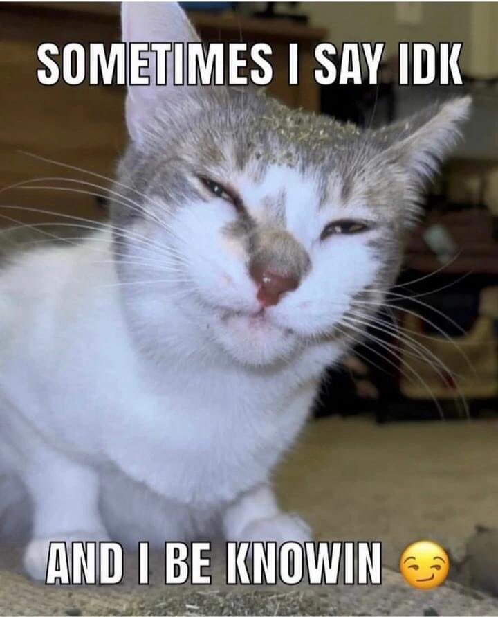 kyle_w_bird's tweet photo. Happy Caturday!!
#catsofsocialmedia #catsofinstagram #happycaturday #caturday #catssmiling #cats https://t.co/TRBeSxkgwe
