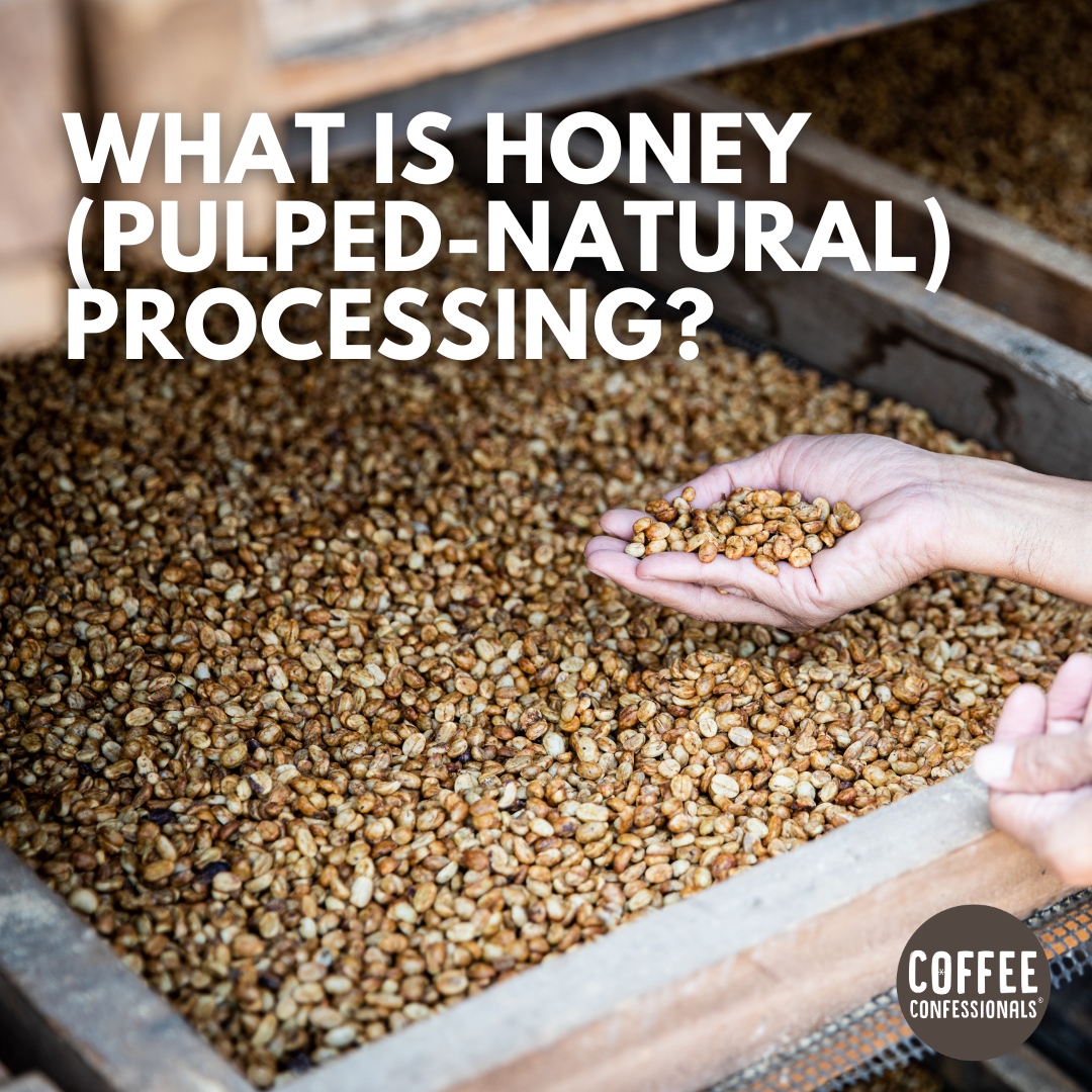 coffeeconfessnl's tweet photo. 🍯☕ Honey processing is a method where ripe cherries are de-pulped, leaving the sugary mucilage intact. These beans are then sun-dried to absorb the sweetness, resulting in a sweet &amp; complex flavor profile w/ fruity notes.☕
#coffeeconfessionals #spillyourbeans #honeyeprocessing https://t.co/UDdBGw9nfF