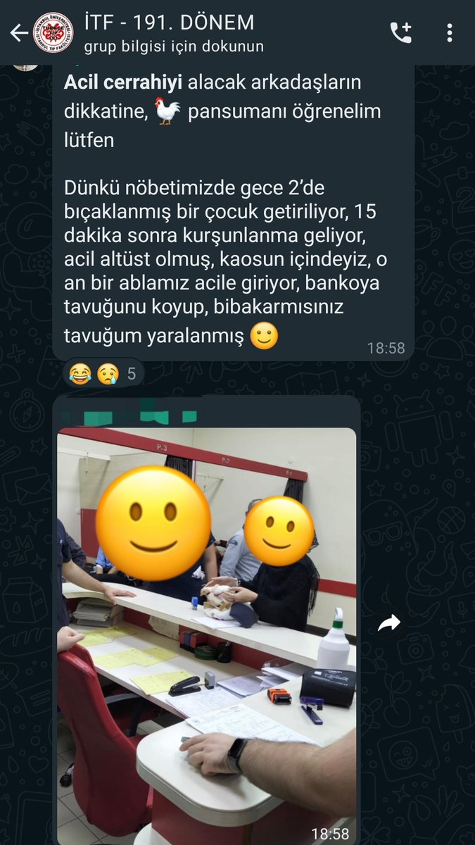 Cem Hısım tweet media