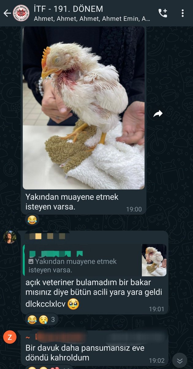 Cem Hısım tweet media