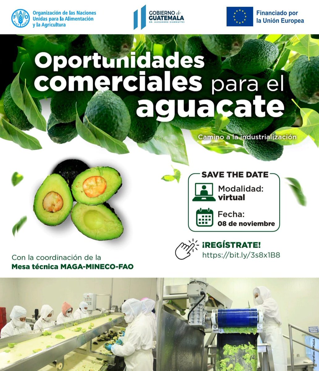#MINECOGT te invita a seguir el foro "Oportunidades comerciales para el aguacate🥑 - Camino a la industrialización"

📅Fecha: 8 nov 2023
📢¡Regístrate! bit.ly/3s8x1B8