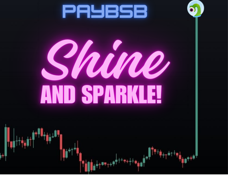 PayBsb's tweet photo. $PayBsb Too The #Moon
upcoming Chart
#MemeCoinSeason #Memecoin2 https://t.co/8GDwv1tIri
