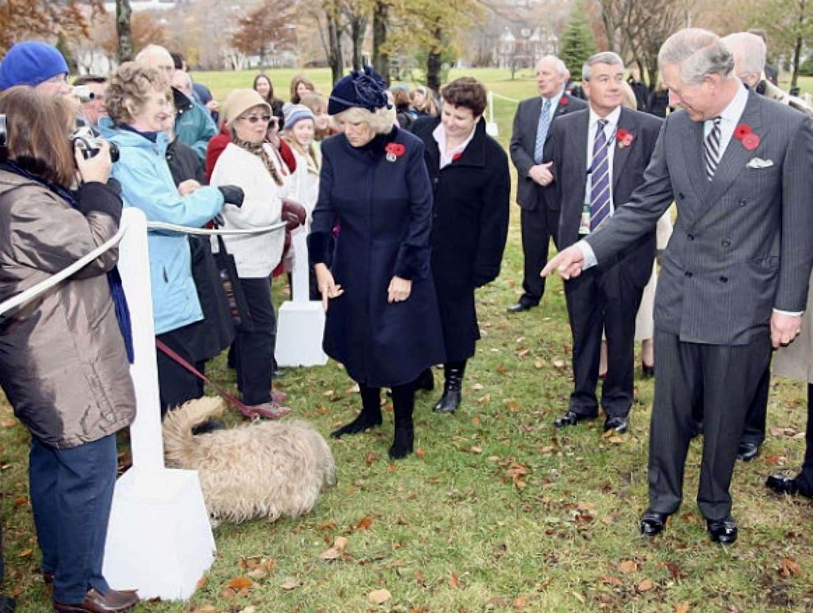 4 Nov 2009, St John's, NL: At Government House, Prince Charles (now Charles III, King of Canada) & Camilla, Duchess of Cornwall (now Queen Camilla), met with LtGov John Crosbie (in sealskin coat) & planted a tree in the gardens. #canadiancrown #cdnpoli #cdnhist| @GovNL