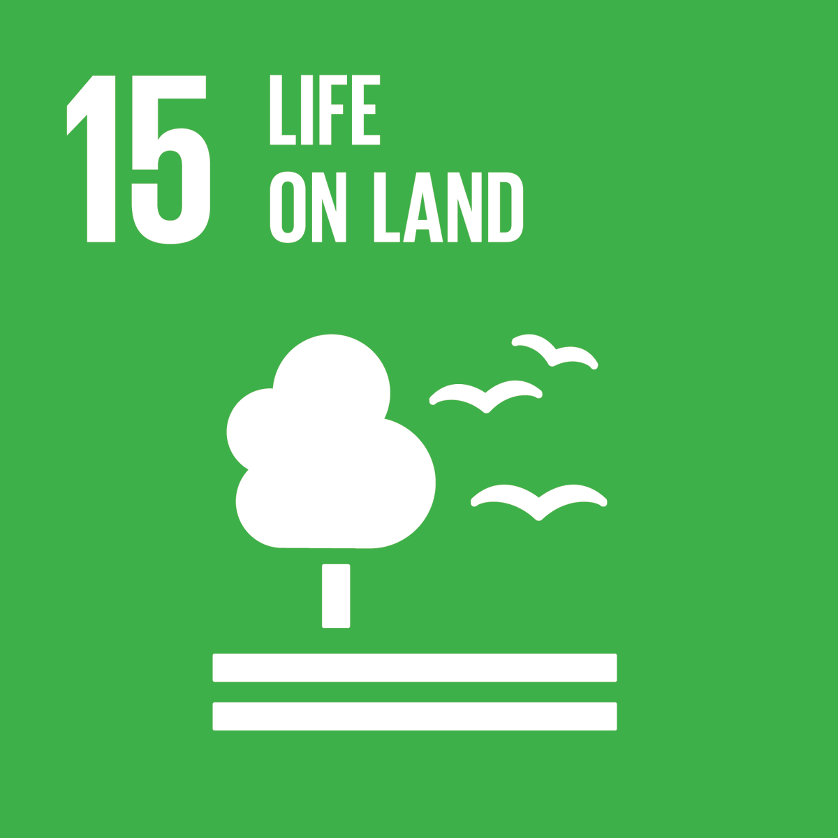 🌿 **SDG 15: Life on Land - Beat Plastic Pollution** 🌿

Our lands suffer from plastic pollution. To preserve ecosystems, we must reduce plastic waste and promote responsible consumption. Let's unite for a greener world. 🌱🌏💚 #SDG15 #PlasticPollution #LifeOnLand